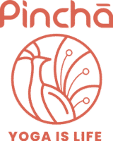 Partner logo 7